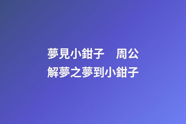 夢見小鉗子　周公解夢之夢到小鉗子
